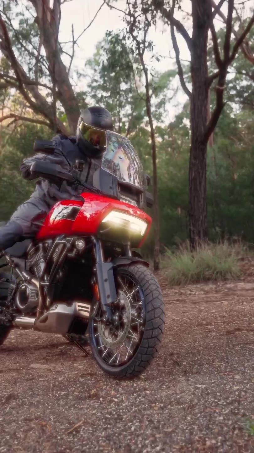 Harley-Davidson — Automotive · Film · Social